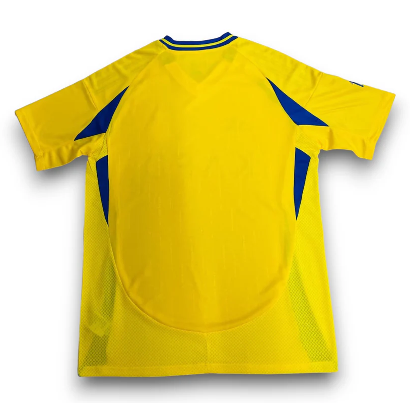 Al Nassar FC Home 24/25 Fan Version