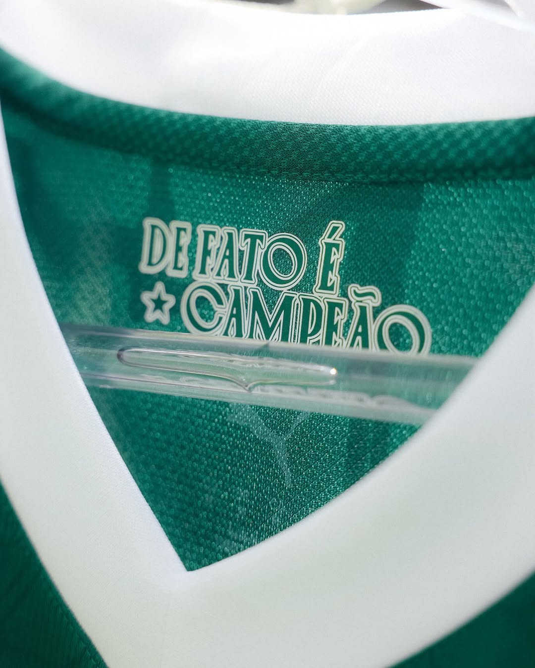 Palmeiras Local Version Fan 2024/2025