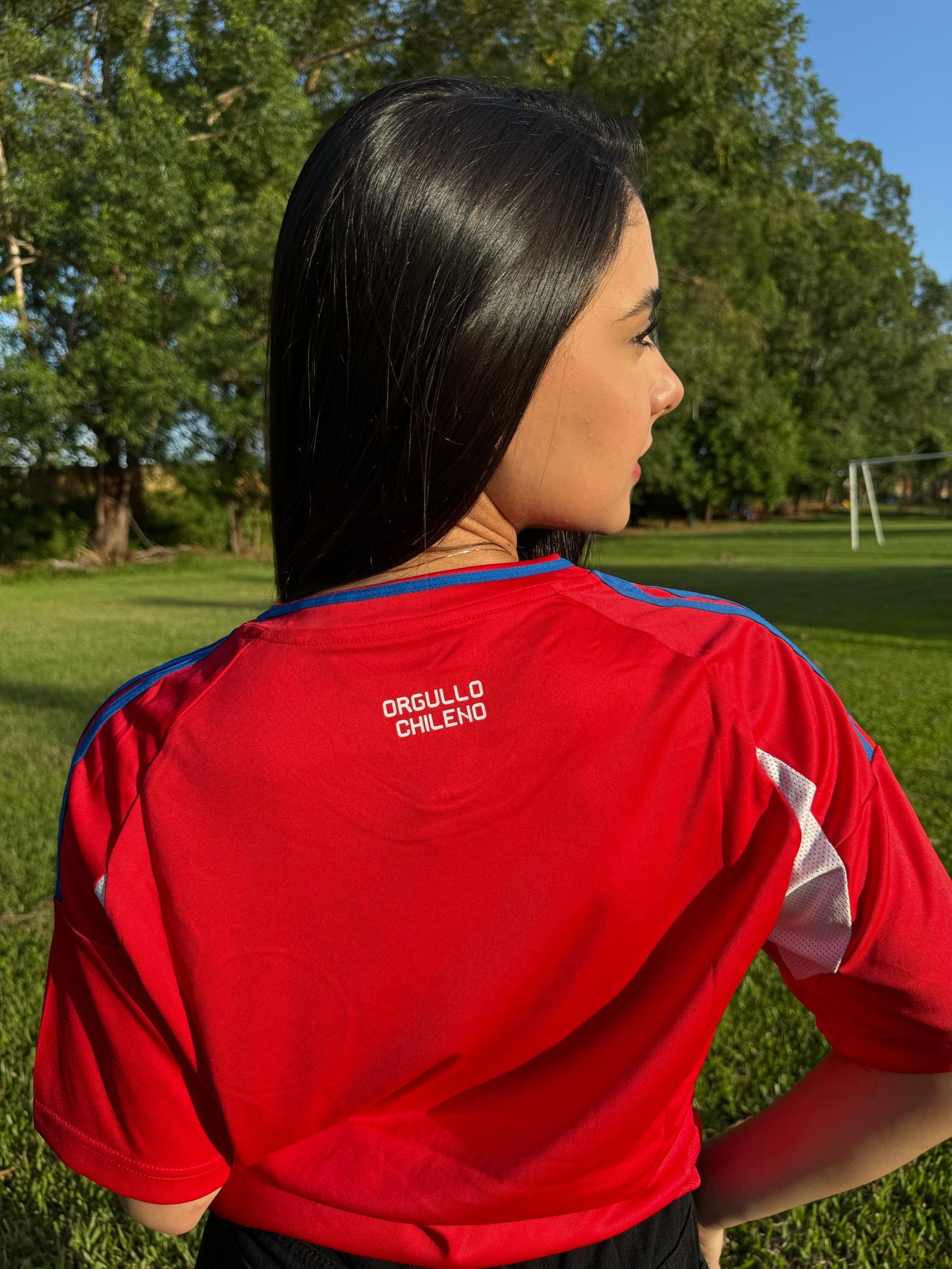 Chile Local Nueva Version Fan 2024