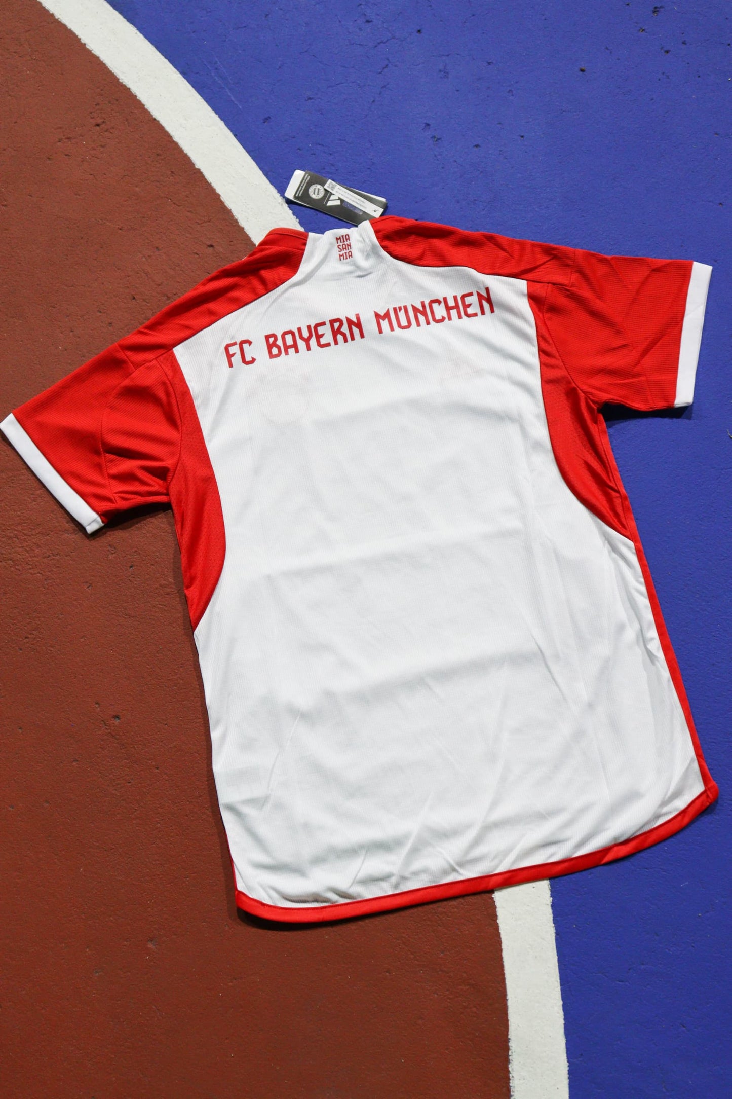 Bayern Munich 2024 Fan Version